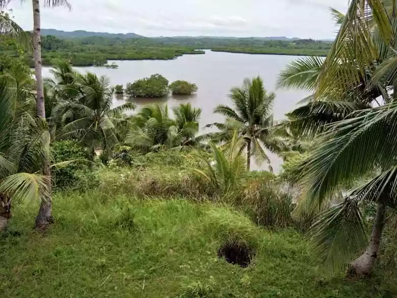 BEACHLOT FOR SALE IN GEN. LUNA SURIGAO DEL NORTE SIARGAO ISLAND  - photo 4