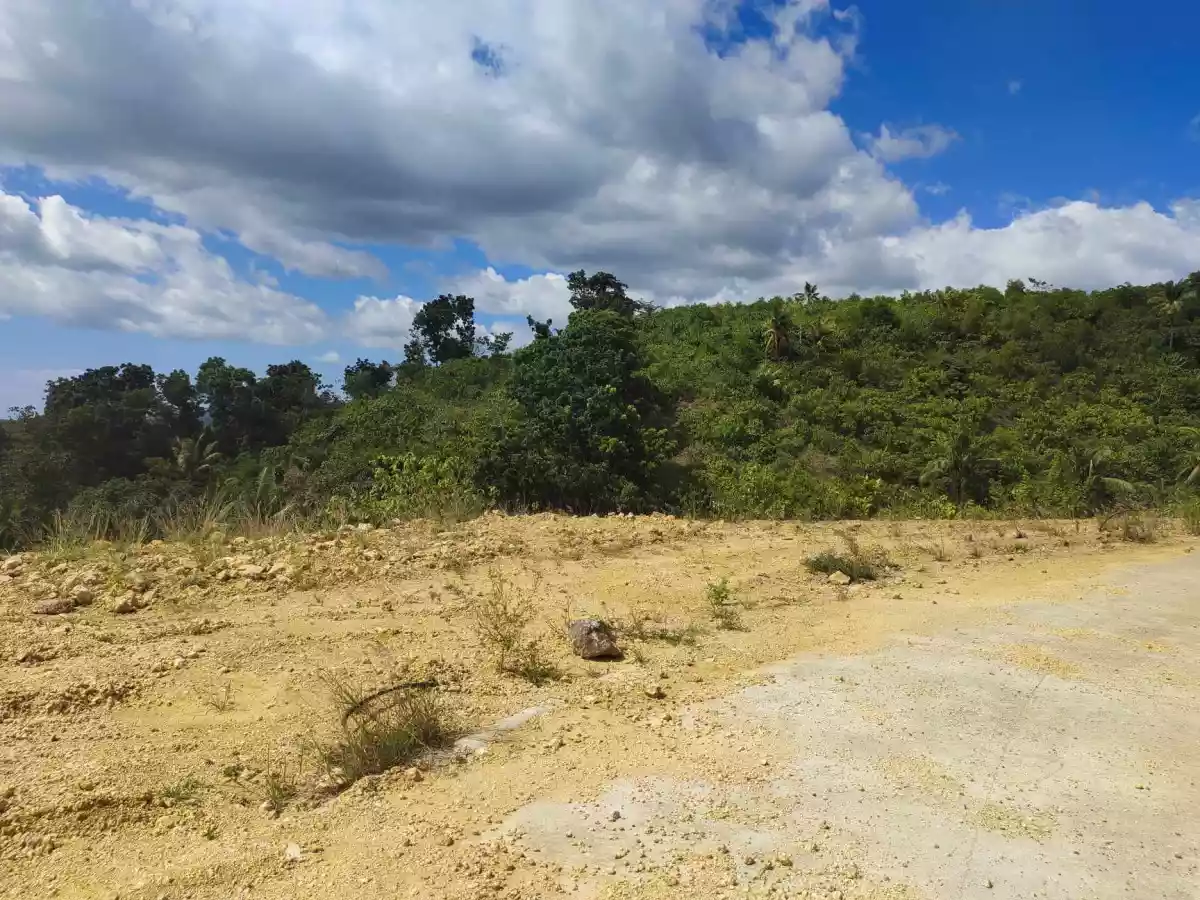 For Sale Lot Only in Verona Subdivision Balamban — Residential Lot in Cebu City, Cebu, Philippines — Photo 2