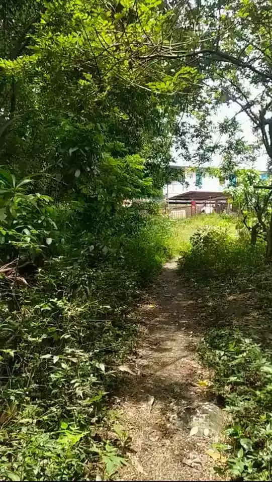 Affordable Lot for Sale in Tagbilaran City - photo 2