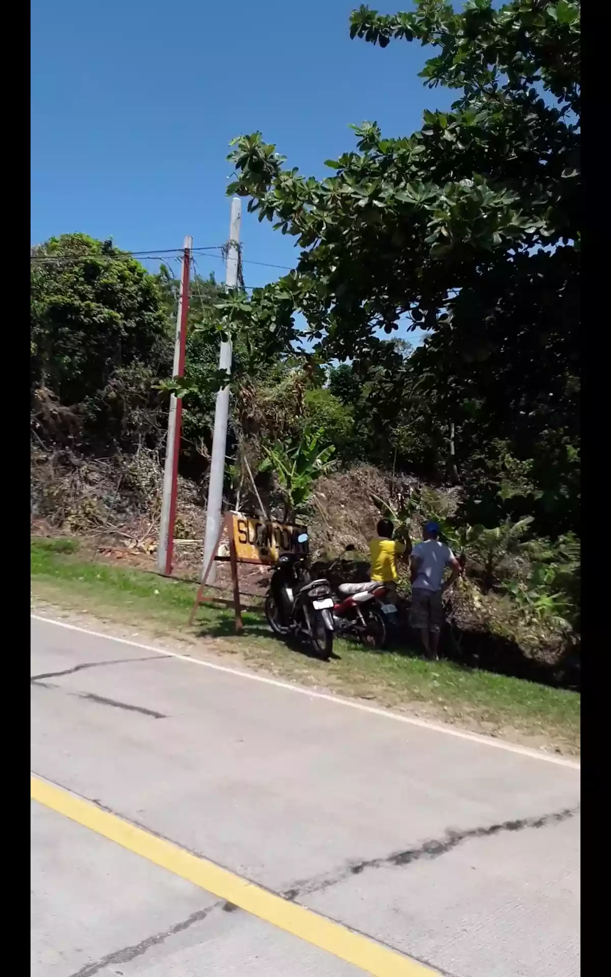 Lot for sale — Agricultural Lot in Guindulman, Bohol, Philippines — Photo 2