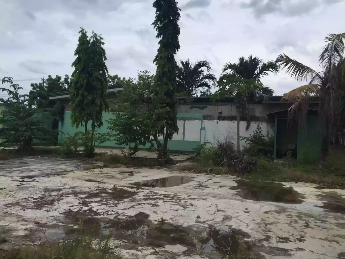 Commercial Lot for sale in Agus Lapu-Lapu City — Commercial Lot in Lapu-Lapu City, Cebu, Philippines — Photo 5