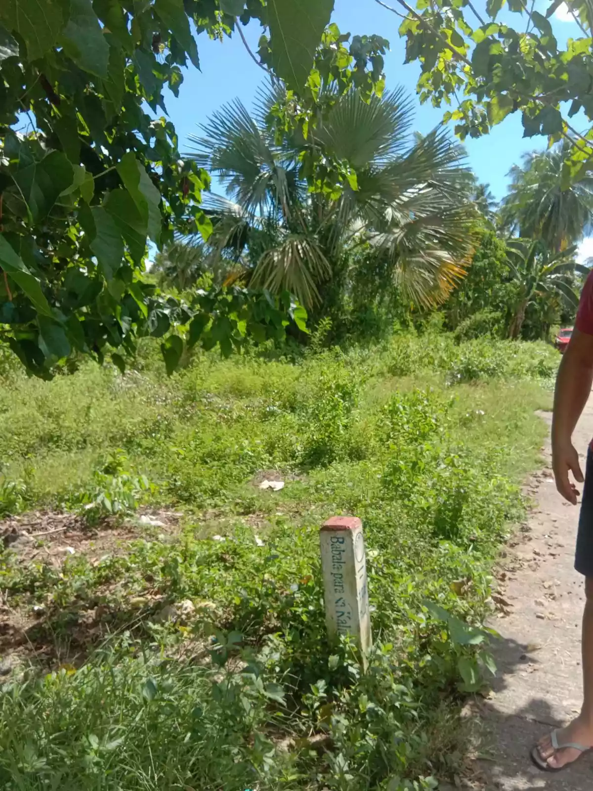 Lot for Sale — Industrial Lot in Liloan, Cebu, Philippines — Photo 7