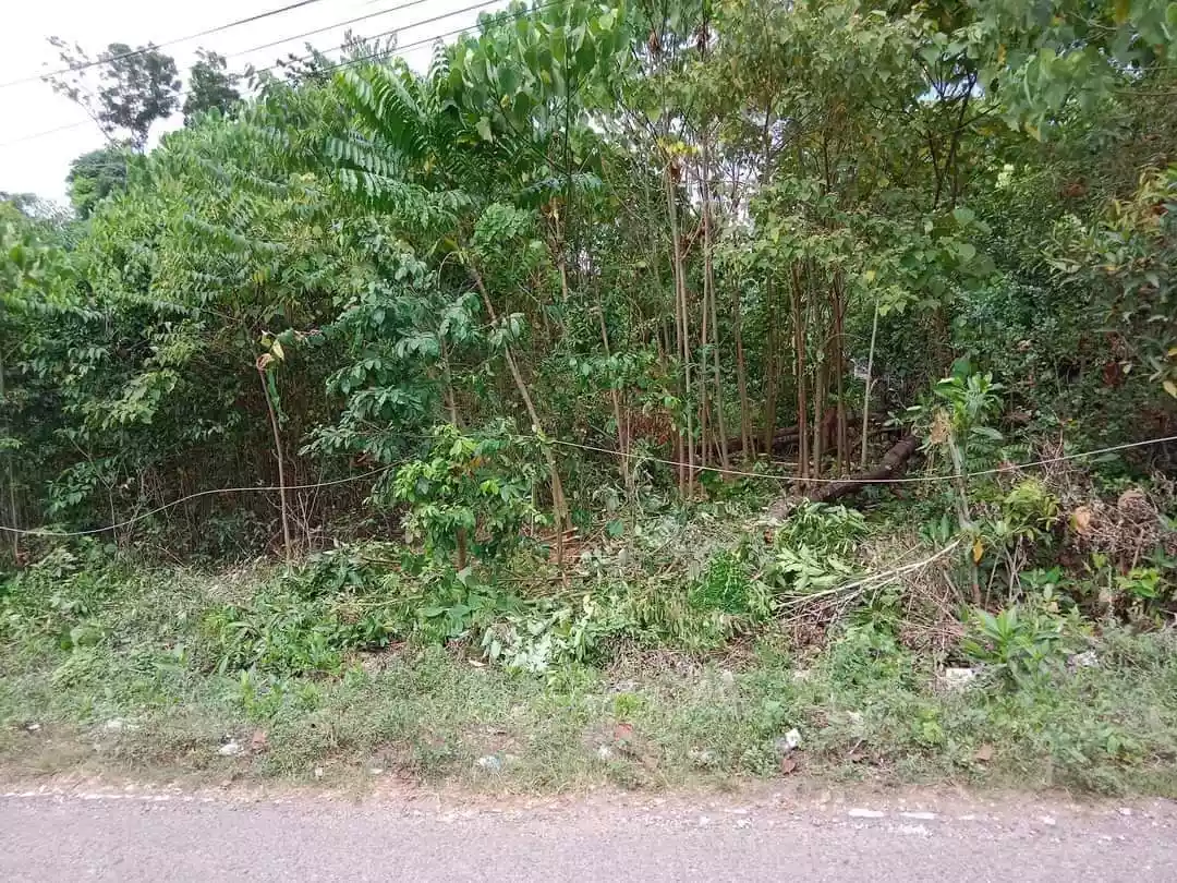 Lot along the Road — Residential Lot in Dauis, Bohol, Philippines — Photo 5