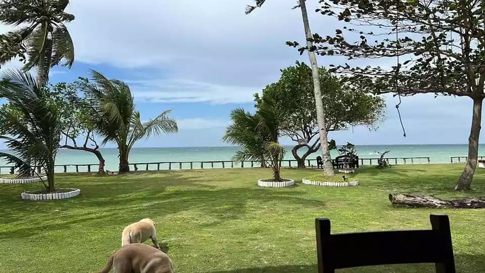 Rush Sale Beach Property — Beach Lot in Medellin, Cebu, Philippines — Photo 3
