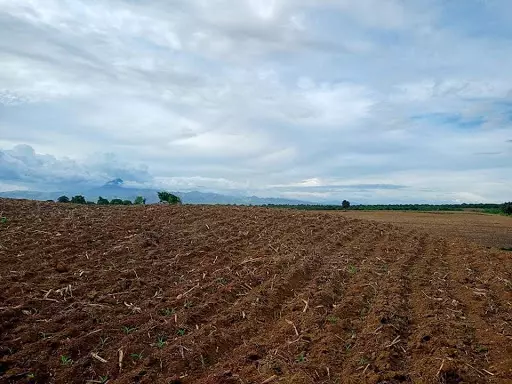 Lot for sale at Brgy Baluntay Alabel Sarangani Province — Agricultural Lot in Alabel, Sarangani, Philippines — Photo 2