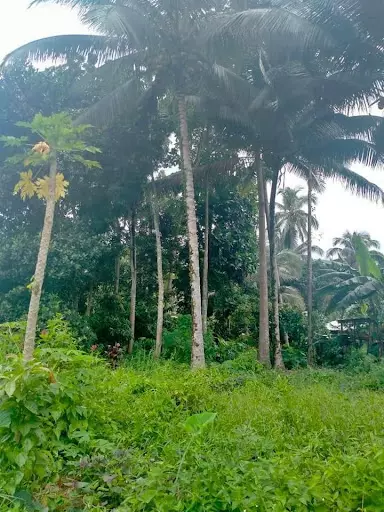 Open photo 13 of 14 — Residential lot for sale