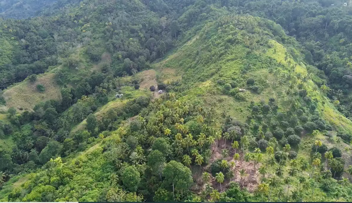 13 Hectares Overlooking Farm Property in Samal City — Agricultural Lot in Kaputian, Samal City, Davao del Norte — Photo 4