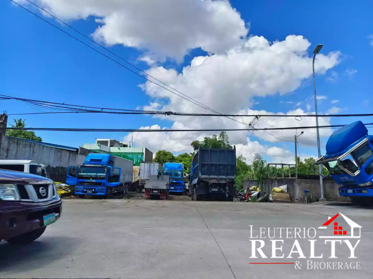 For Sale Lot - Del Rosario — Agricultural Lot in Naga, Camarines Sur, Philippines — Photo 3