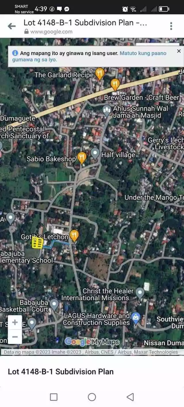 Bacagay, Dumaguete City — Agricultural Lot in Dumaguete, Negros Oriental, Philippines — Photo 4
