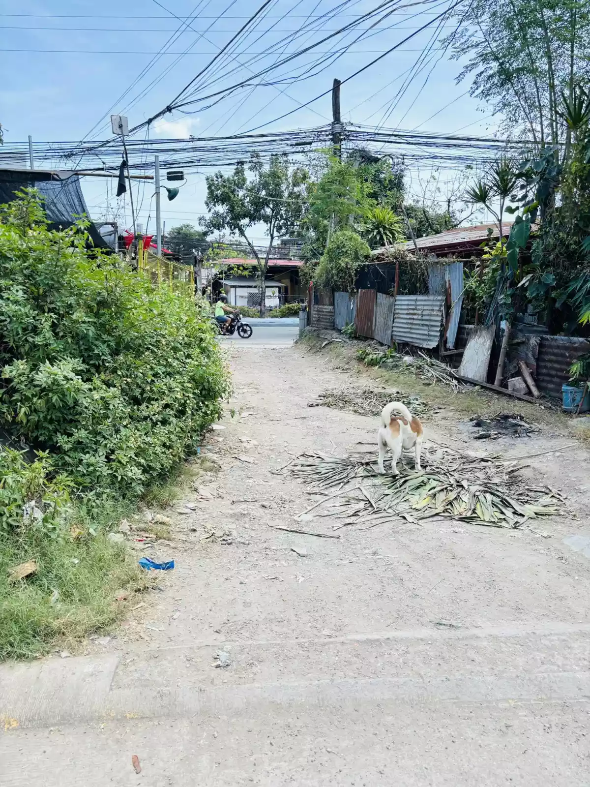 For Sale!!! Residential lot !!! — Residential Lot in New Sangi Road, Lapu-Lapu City, Cebu — Photo 2