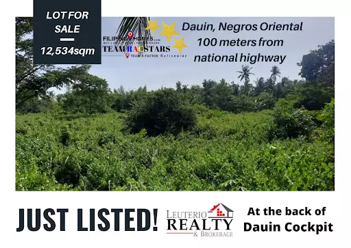 Lot for Sale — Agricultural Lot in Dauin, Negros Oriental, Philippines — Photo 2