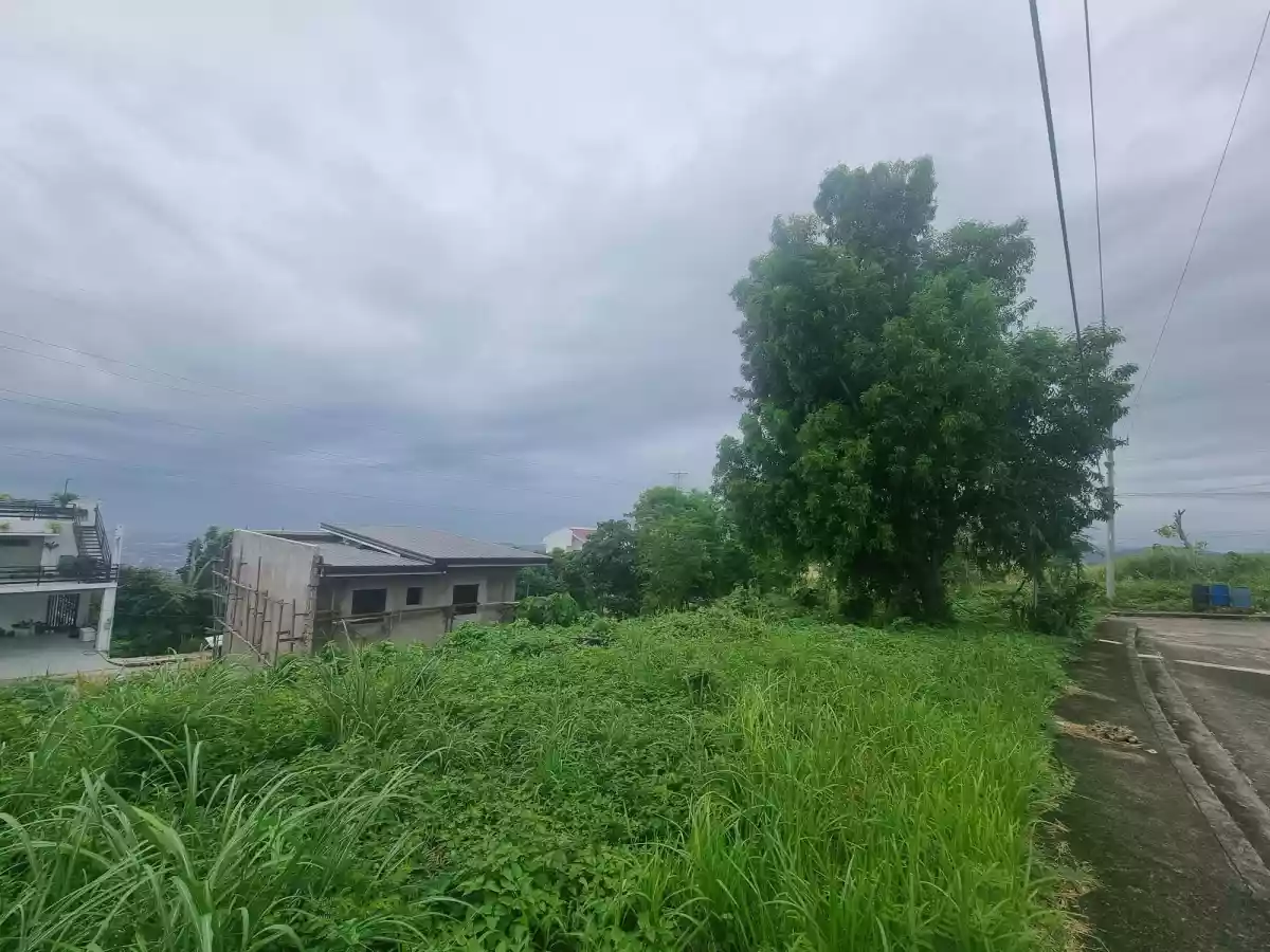 Rush Sale Lot in Pacific Heights Subd.. Talisay City - photo 4