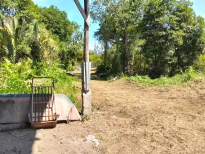 For Rent Commercial Lot in Binlod, Argao — 500 sqm — Commercial Lot in Argao, Cebu, 6021 — Photo 5