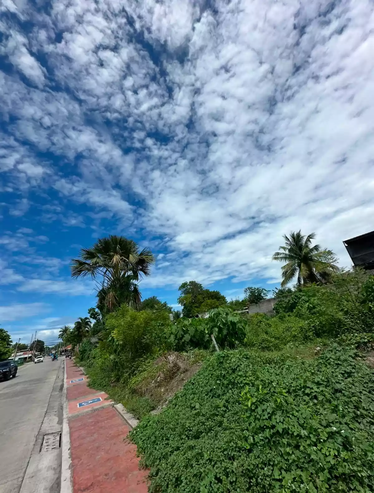 Lot for Lease at Calina Street