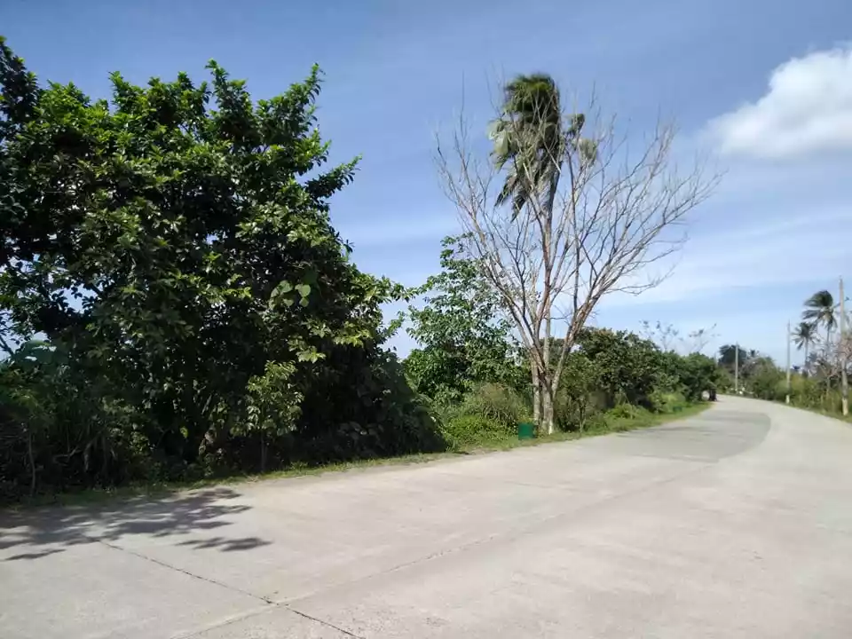 6has-8has Expandable Casile Lots for Housing, Farm Resort, Commercial, Condo, Subdivision, Memorial lots - photo 6