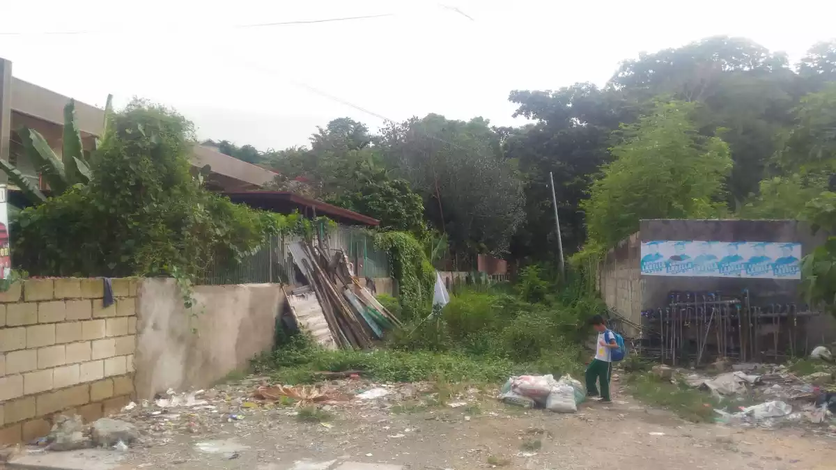 Prime Talamban Big Lot, walking distance to Cebu North General Hospital — Residential Lot in Cebu City, Cebu, Philippines — Photo 6