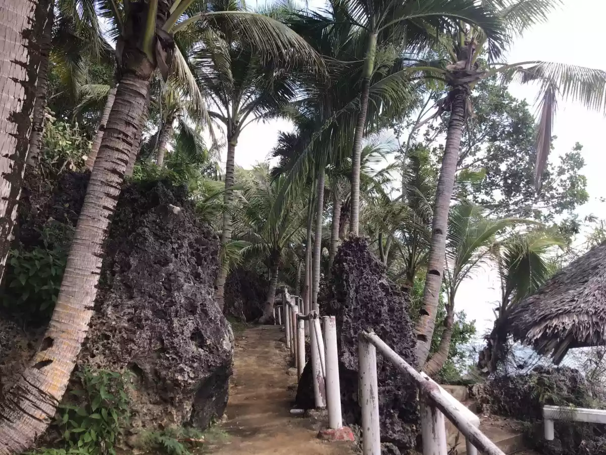 Diving Resort for Sale - photo 6