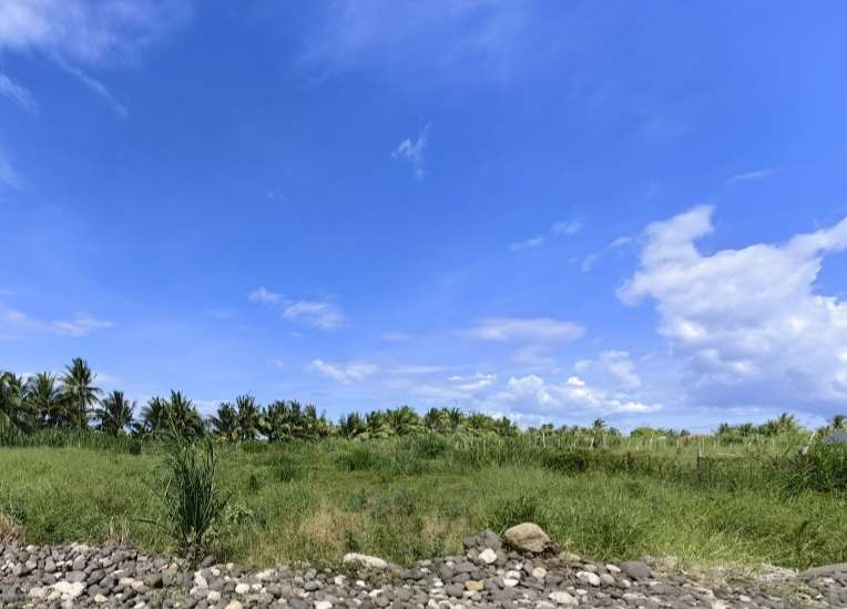 LOTS For Sale!!! — Residential Lot in Tanjay City, Negros Oriental, Philippines — Photo 5
