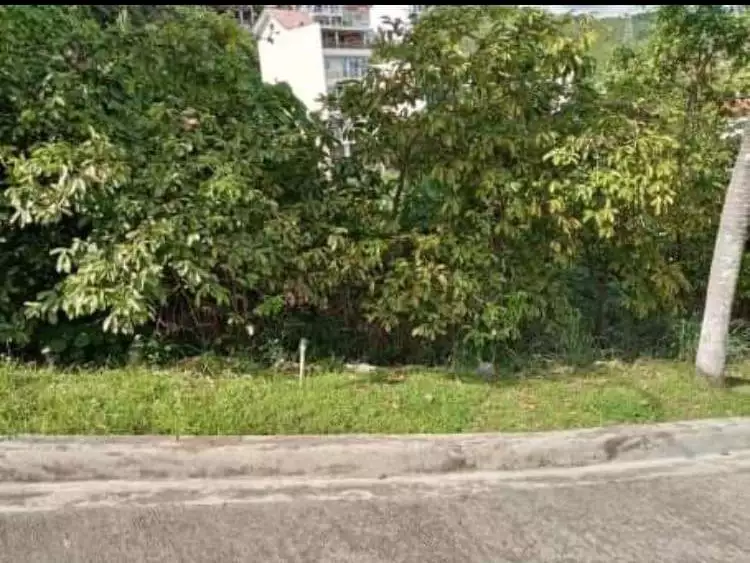 For Sale Lot Only at South Hills - photo 2