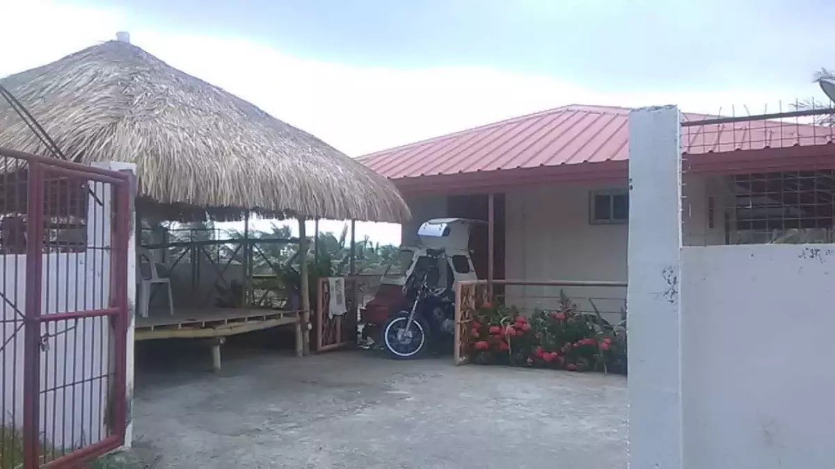 PUNONG FOR SALE in SILAY - photo 3