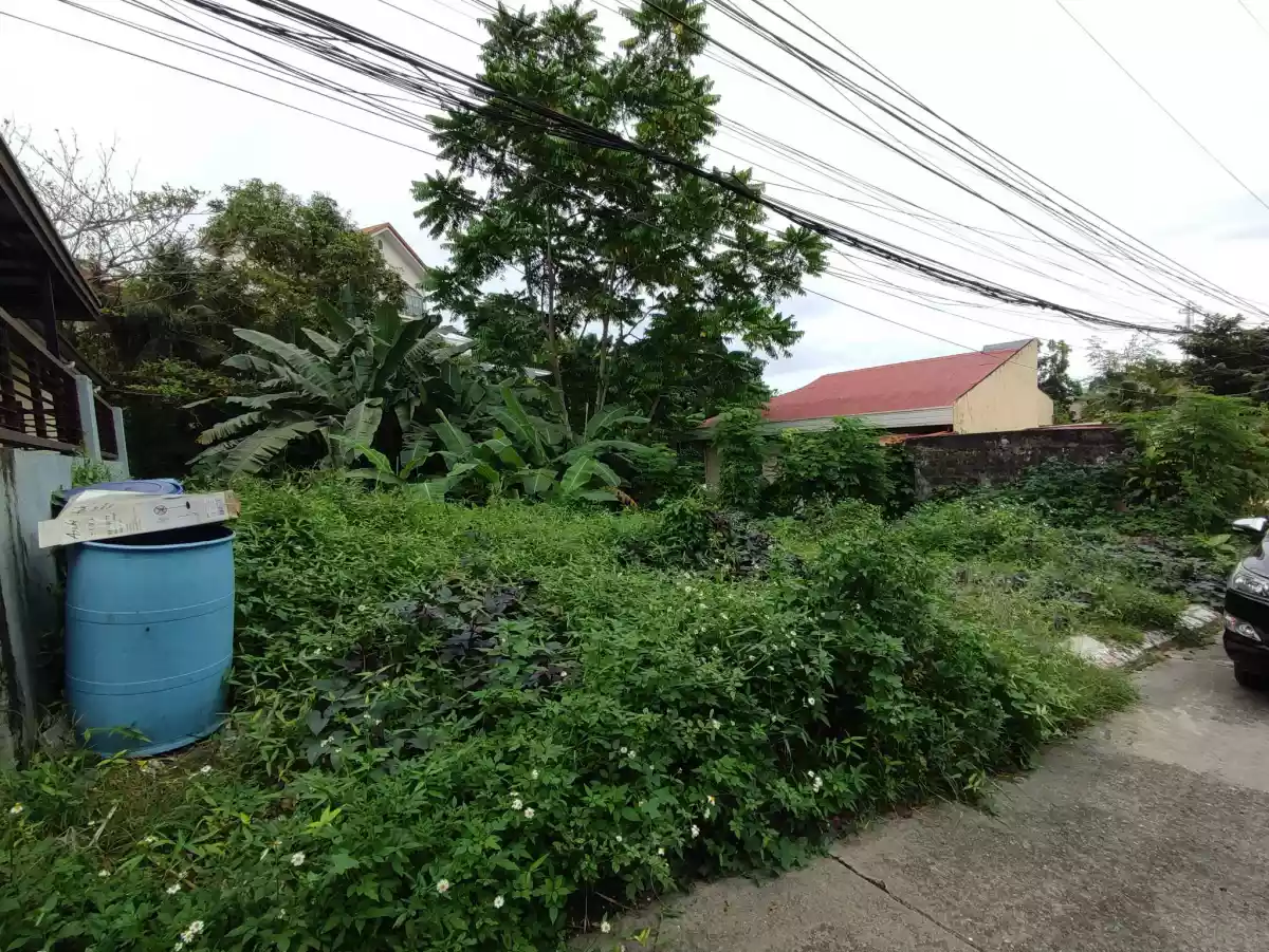 Residential Lot - Talamban Proper, Cebu City - photo 3