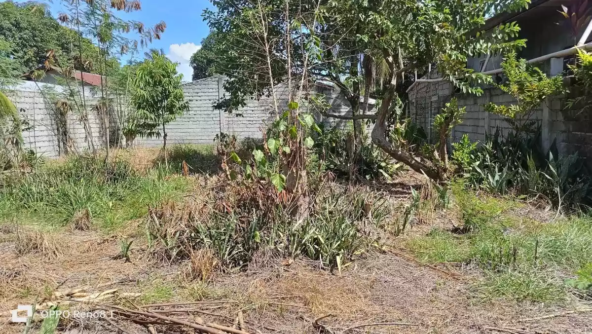375sqm Residential Lot For Sale at Brgy. Fatima Uhaw — Residential Lot in General Santos City, South Cotabato, Philippines — Photo 6