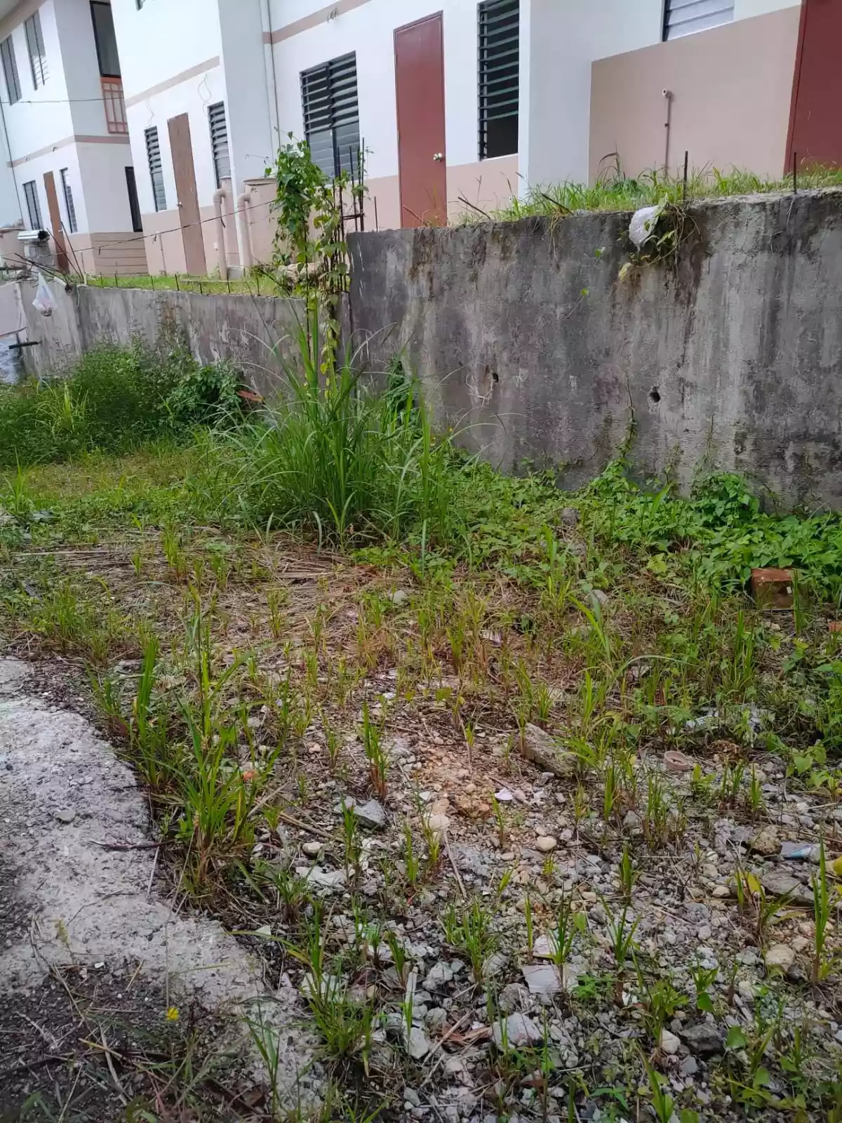 CASA MIRA SOUTH TOWNHOUSE C INNER UNIT FOR ASSUME - photo 4