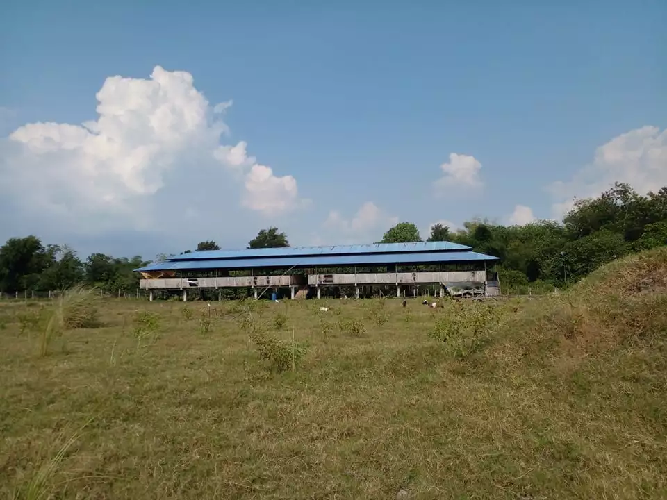 Zambales Developed 6.8 has fenced farm - exp to 10has — Agricultural Lot in Zambales, Philippines — Photo 5