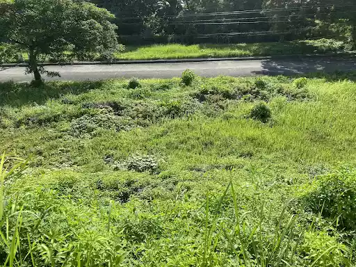 Subdivision Lot in Aspen Heights 