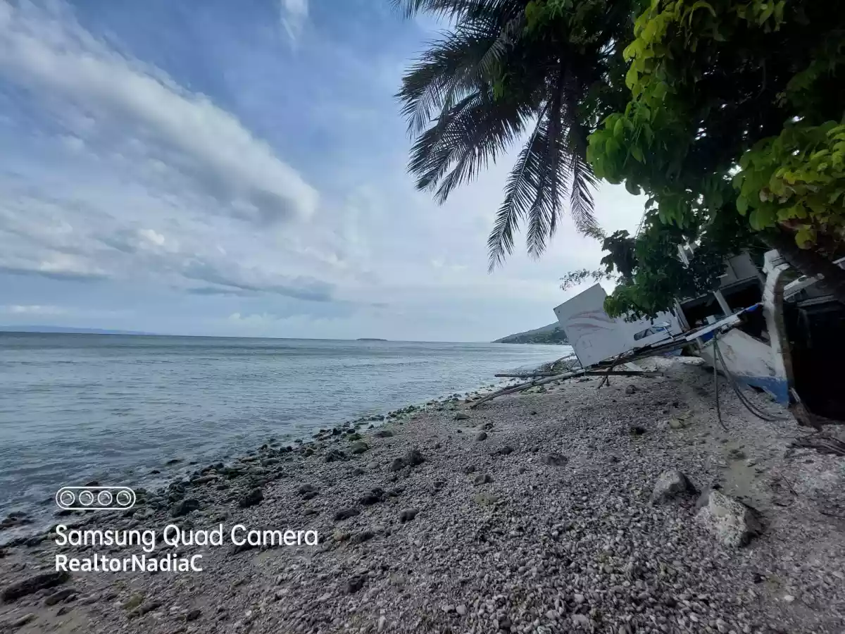 BEACH LOT for SALE in Oslob, Cebu for 25M — Beach Lot in Oslob, Cebu, Philippines — Photo 5