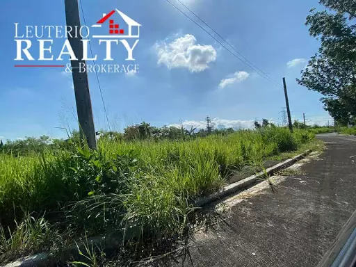 RUSH SALE!! 256sqm
Affordable Residential lot in Naga City!
Let us make your first investment a great deal! Exclusive, secured and gated subdivision now even made more affordable.
Own this lot now and turn your dreams into reality!