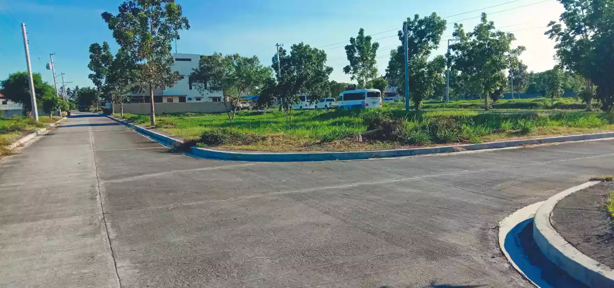 204sqm Colinas Corner Lot - photo 2