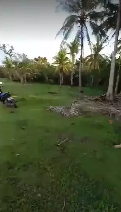 LOT FOR SALE — Agricultural Lot in Zamboanguita, Negros Oriental, Philippines — Photo 4