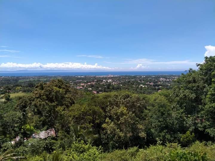 3BR TOWNHOUSE @ LINAO, TALISAY - photo 6