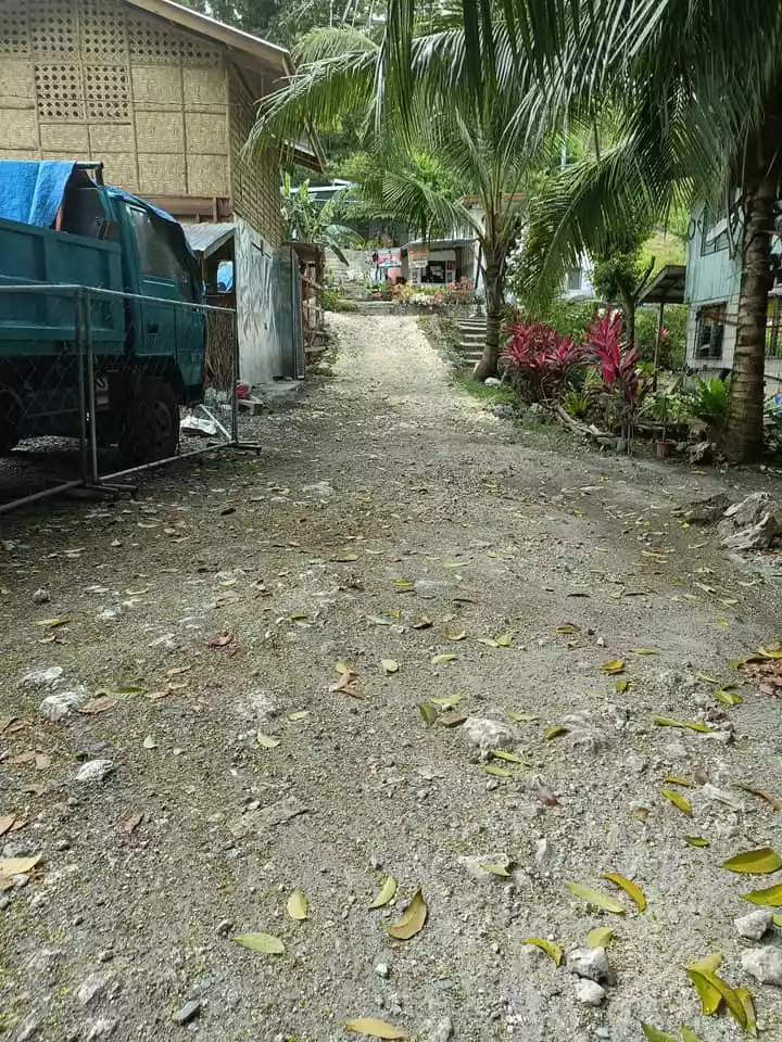 Residential Lot for Sale in Catarman Dauis, Bohol - photo 7