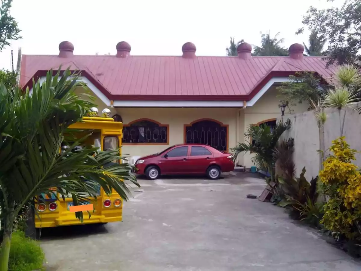 Rush House and Lot 50 meters From the Highway