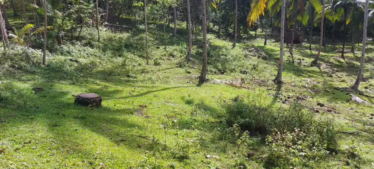 Lot for Sale — Agricultural Lot in Negros Oriental, Philippines — Photo 5