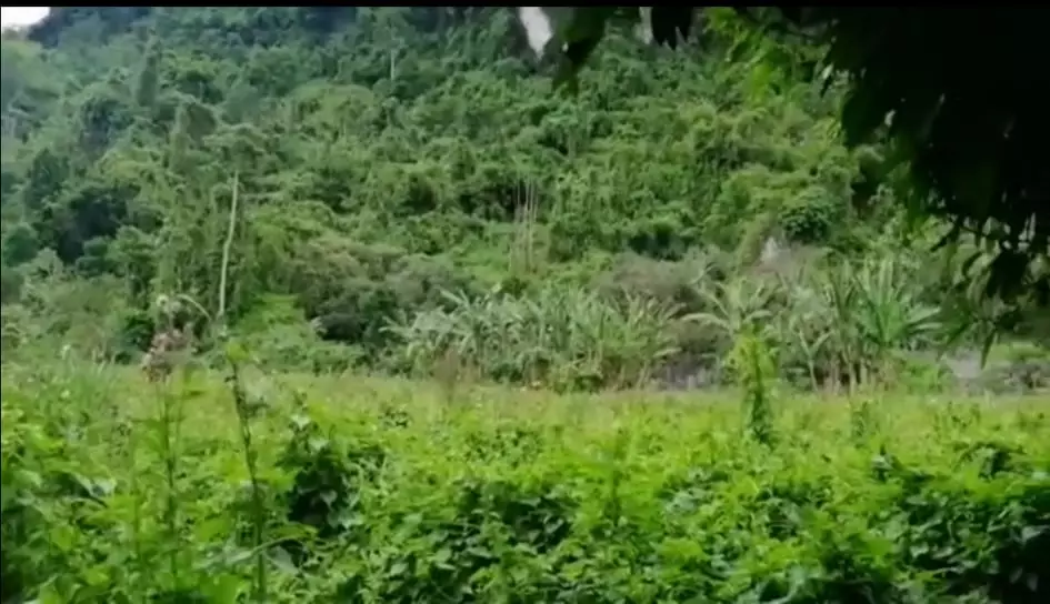 LOT FOR SALE IN BUSAY NEGOTIABLE - photo 2