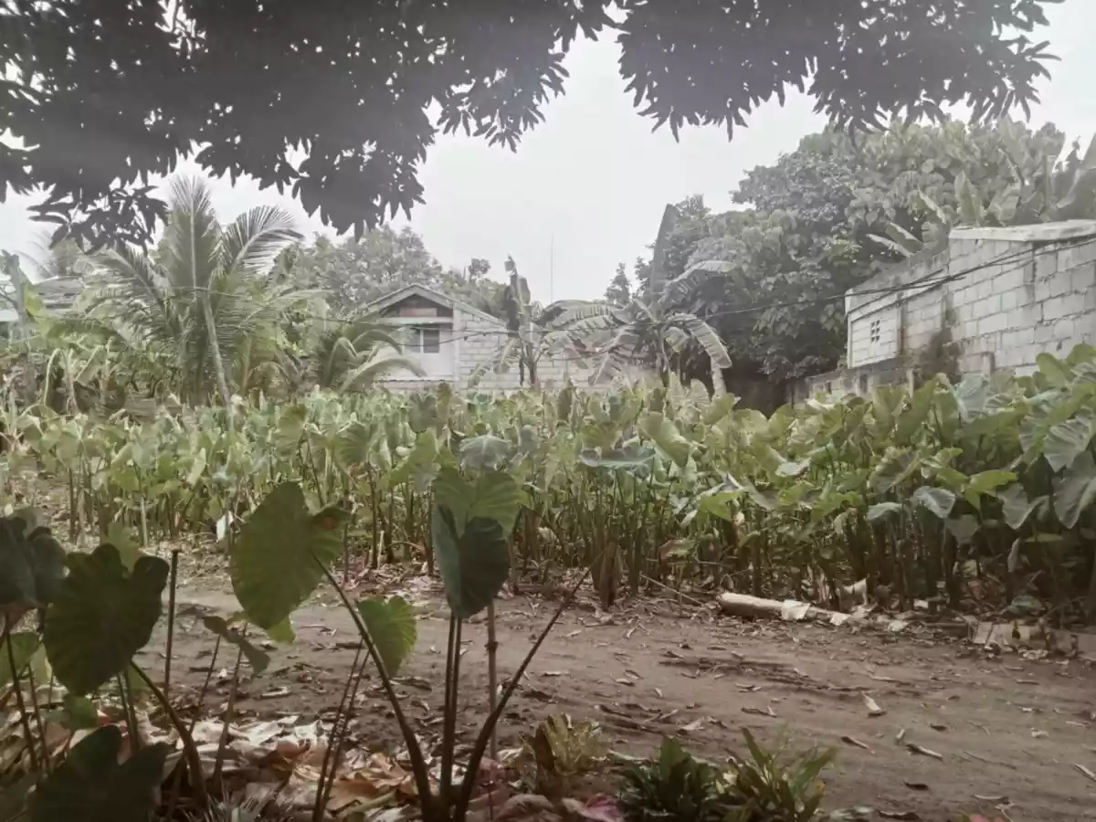 LOT for Sale! — Residential Lot in Sto Niño Road, Dumaguete, Negros Oriental — Photo 3