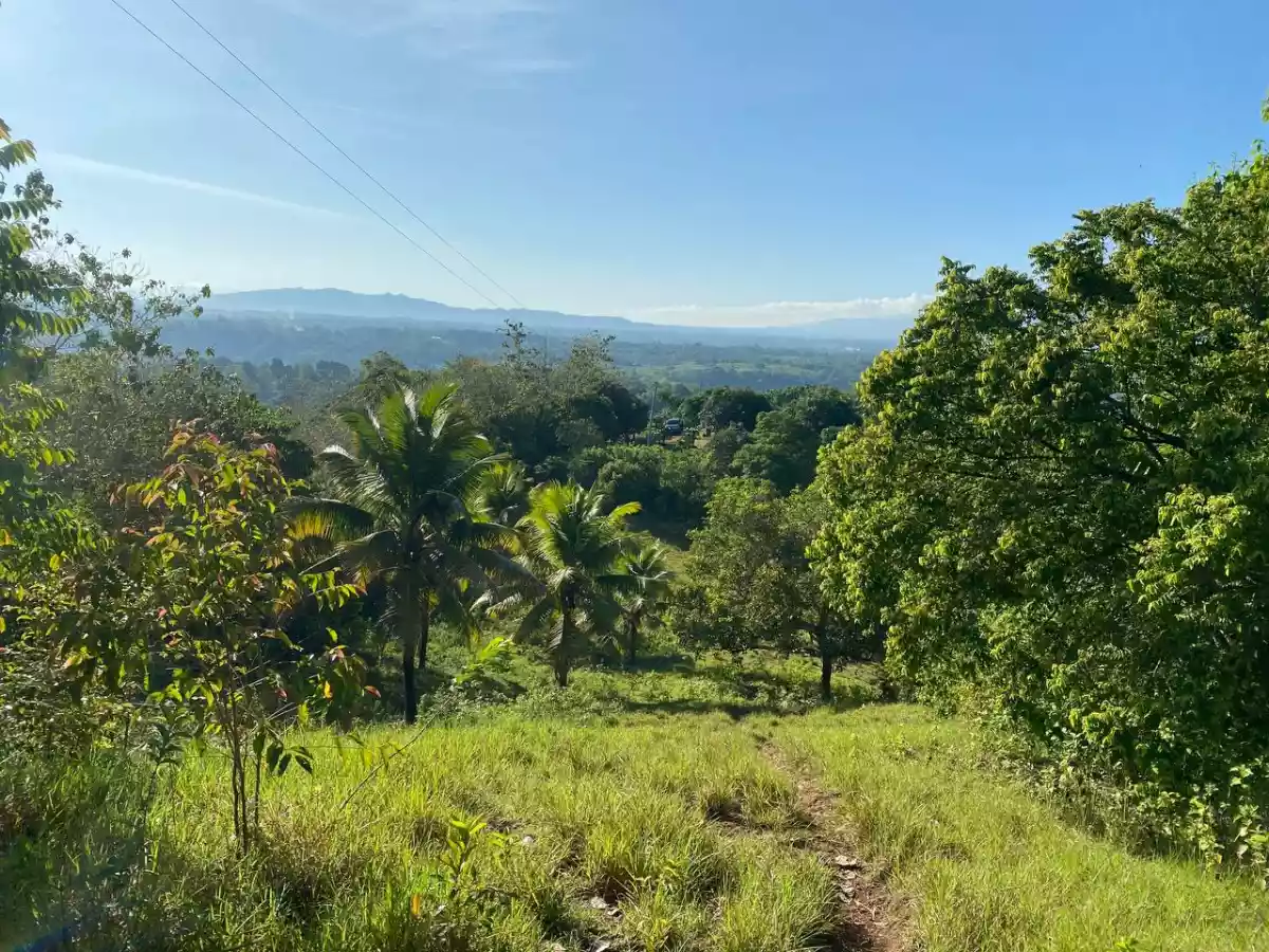 Open photo 11 of 27 — Over Looking LOT FOR SALE along Brgy Road Bayanga, Cagayan de Oro City