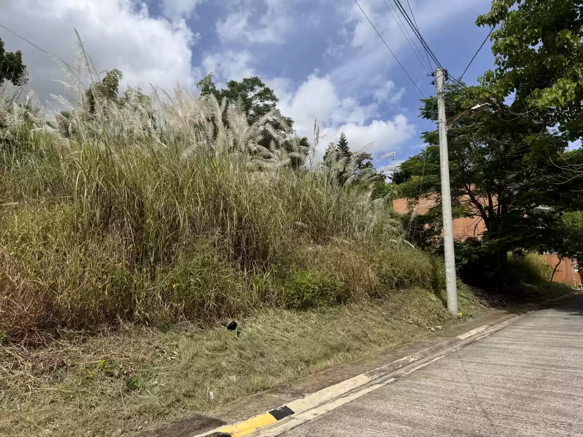 LeGrand Heights Mandaue — Residential Lot in Cebu, Philippines — Photo 5