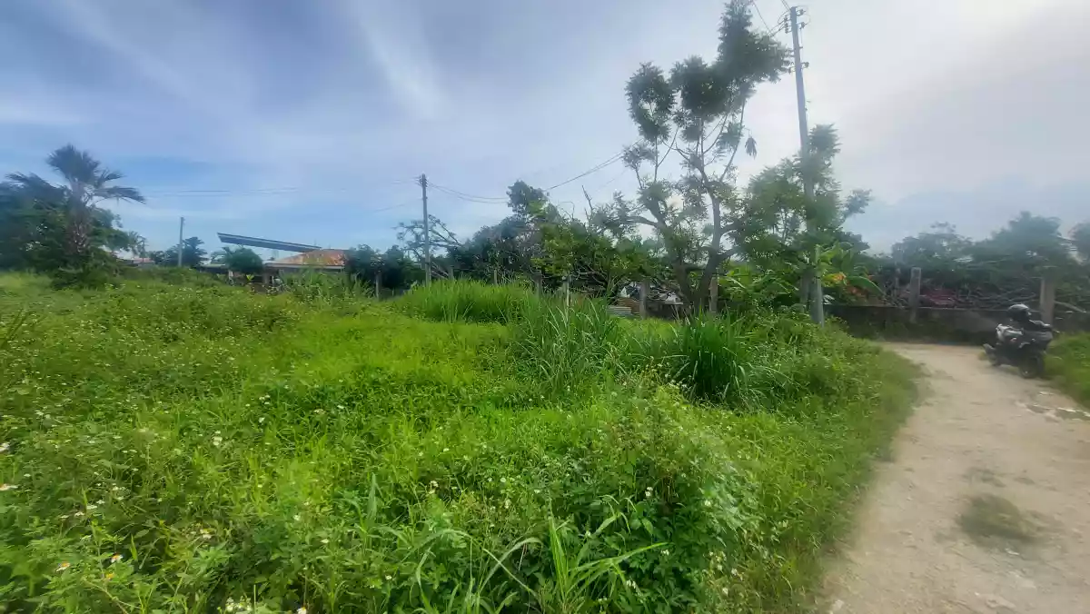 Residential lot for sale - photo 4