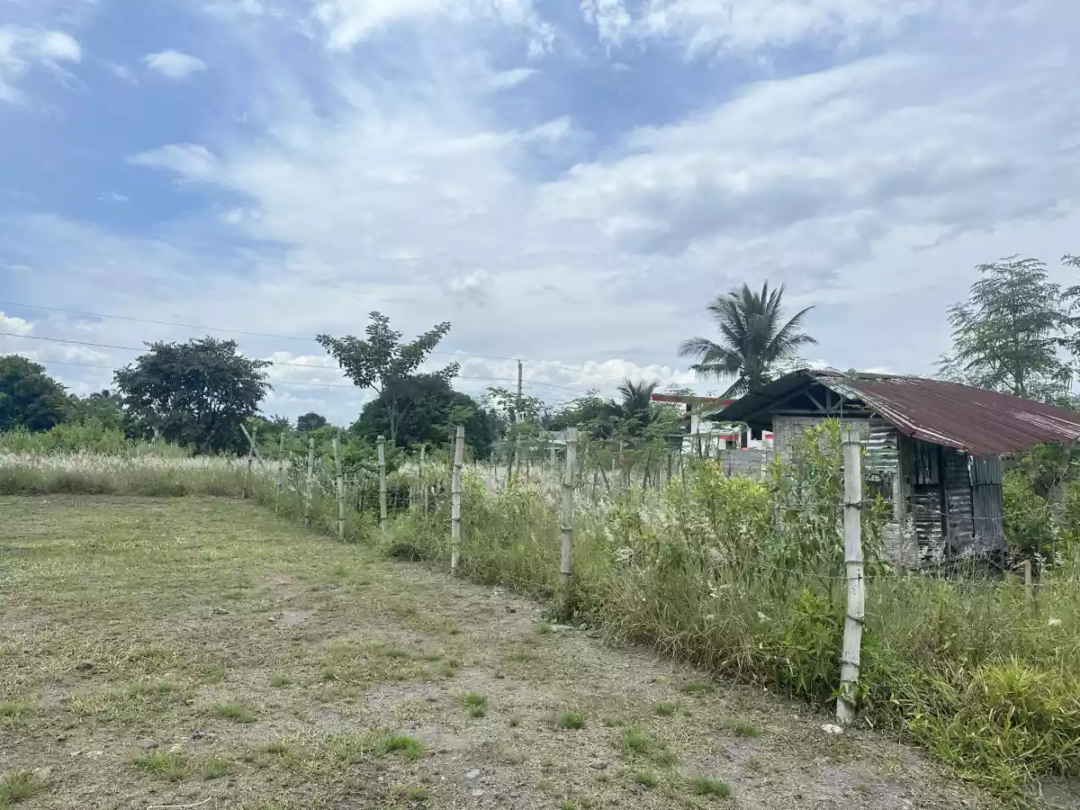 PRIMELAND Subd Residential Lot for sale 150 sqm CLEAN Titled - photo 2