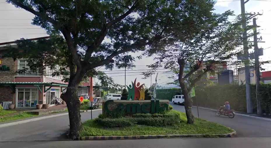 101 sq.m Lot in Camella Naga - photo 3