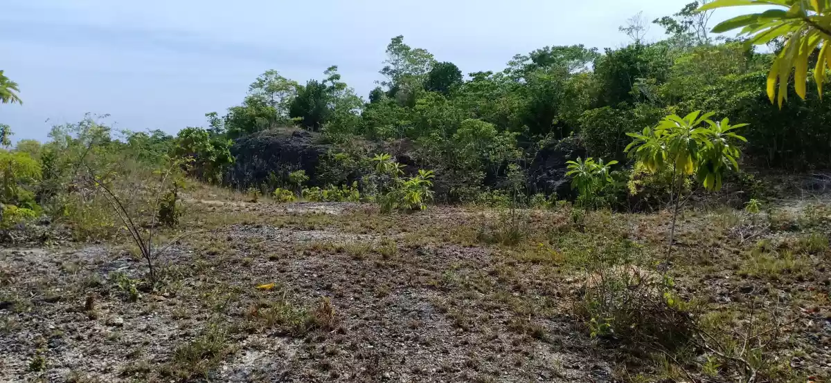 Lot For Sale Luyang, Siquijor