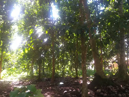 Farm/Residential Lot For Sale