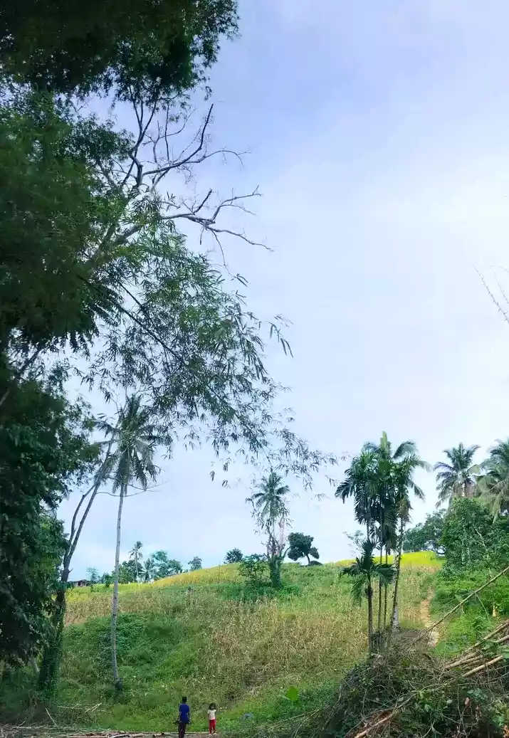 Farm Land — Agricultural Lot in Misamis Oriental, Philippines — Photo 3
