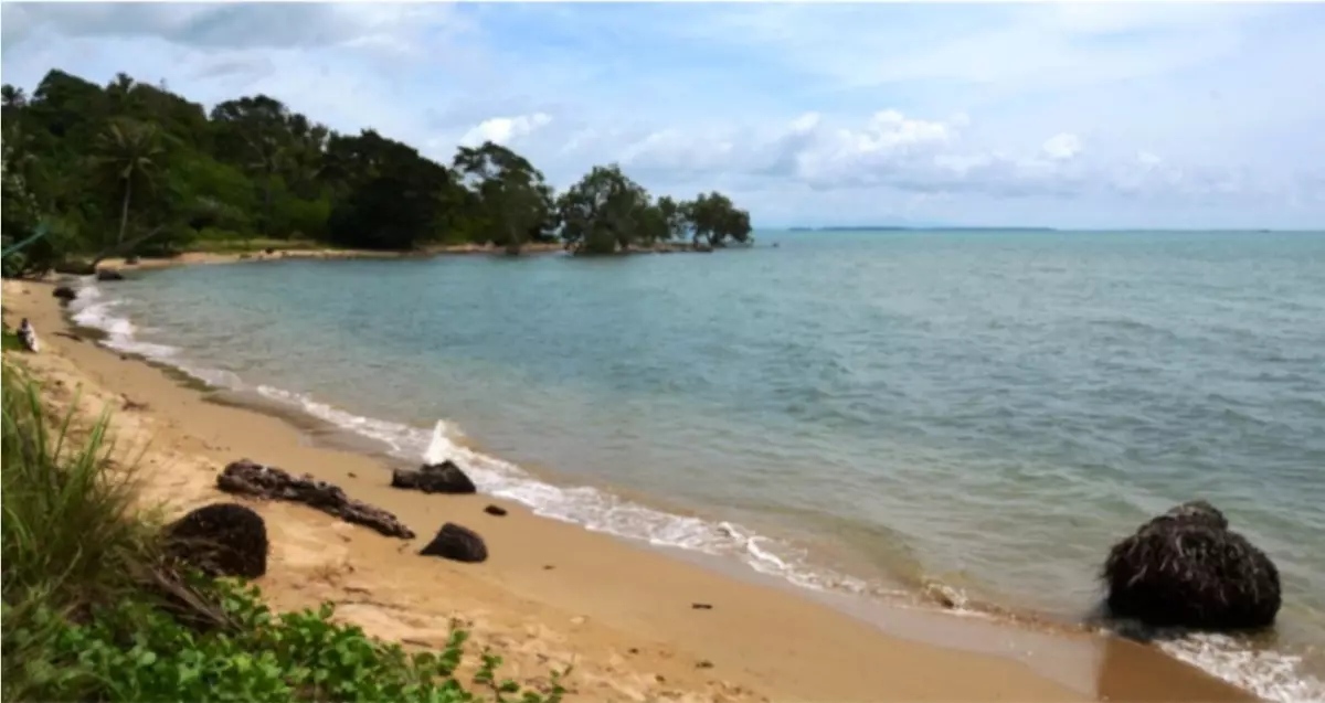 Masterplanned Beachfront Property for sale in Caramay, Roxas Palawan