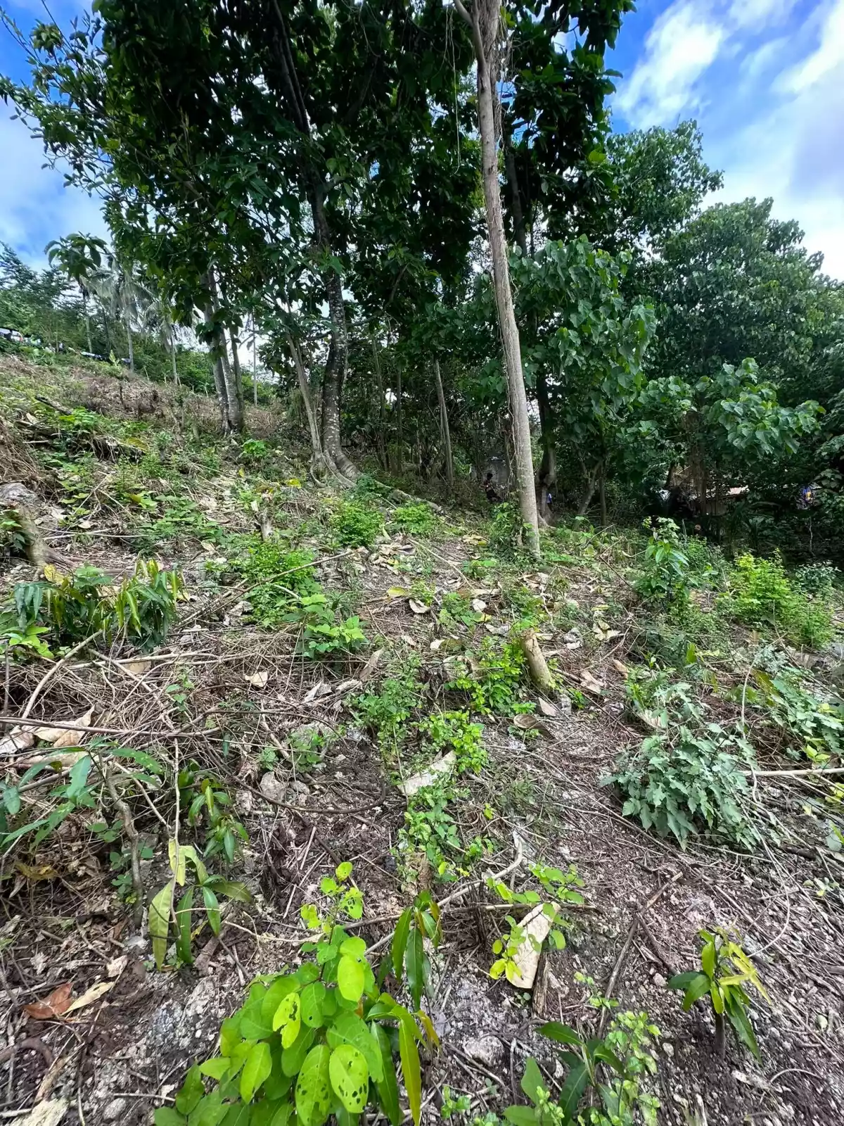 FOR SALE NAGA CEBU LOT ONLY — Residential Lot in City of Naga, Cebu, Philippines — Photo 6