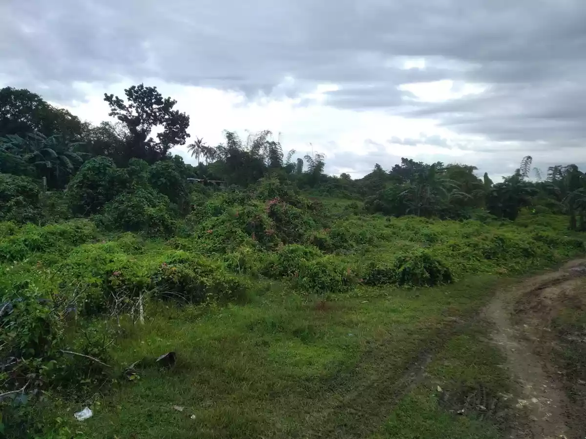 Affordable lot - photo 5